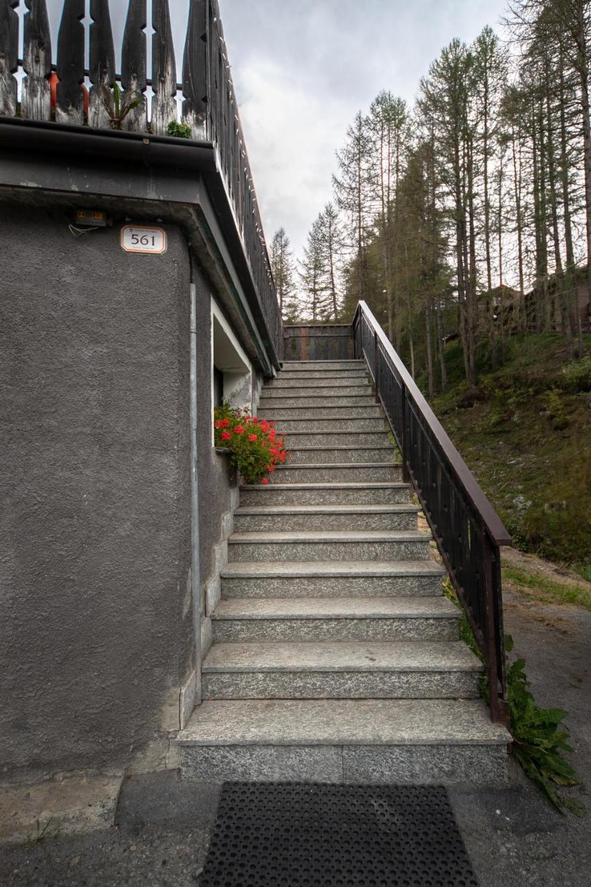 Belvedere - Abar